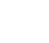 Aguila Tours — Turismo privado en Patagonia — Rent a Car